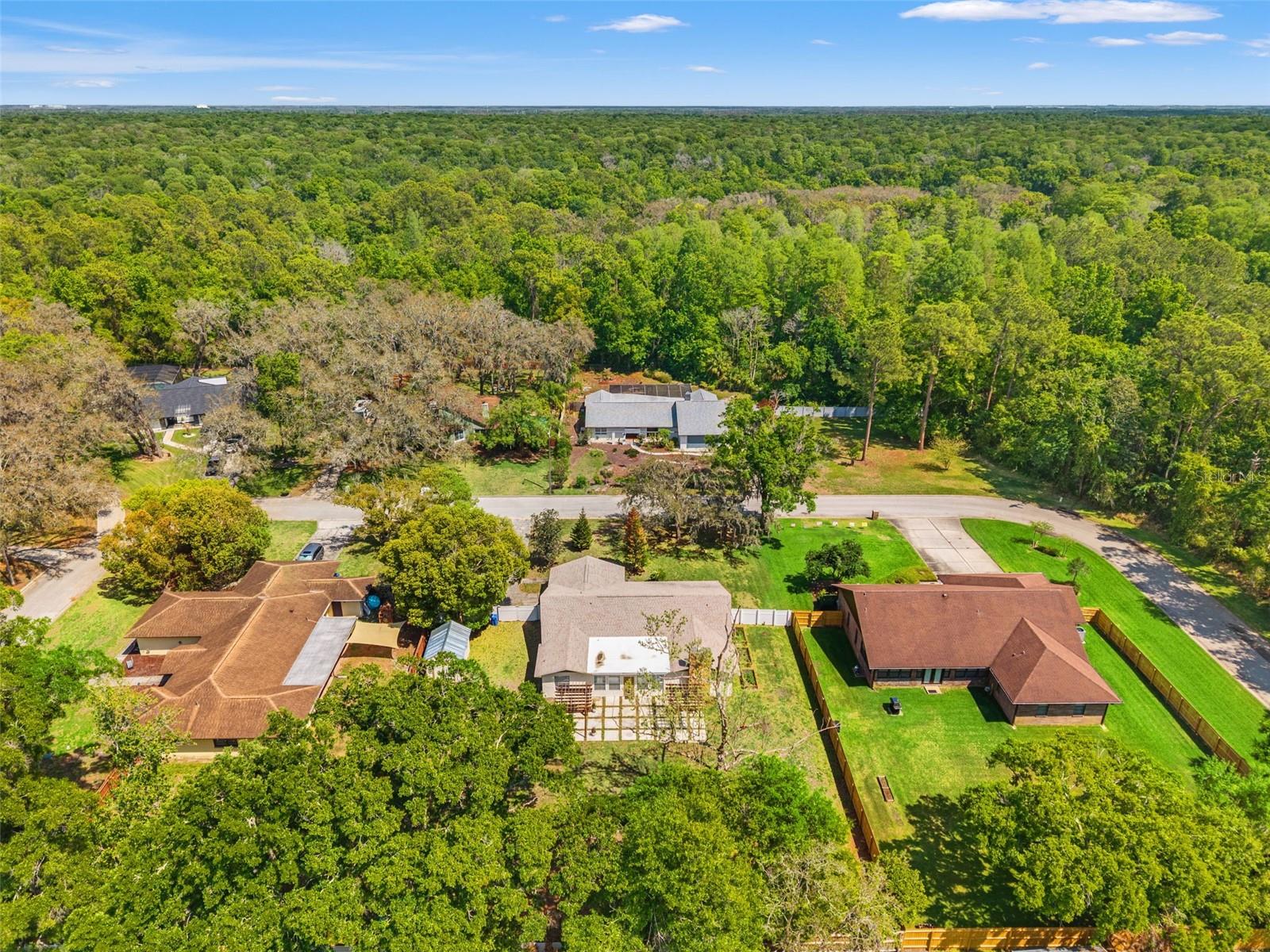 2524 VICTARRA CIR, LUTZ, FL — photo 26