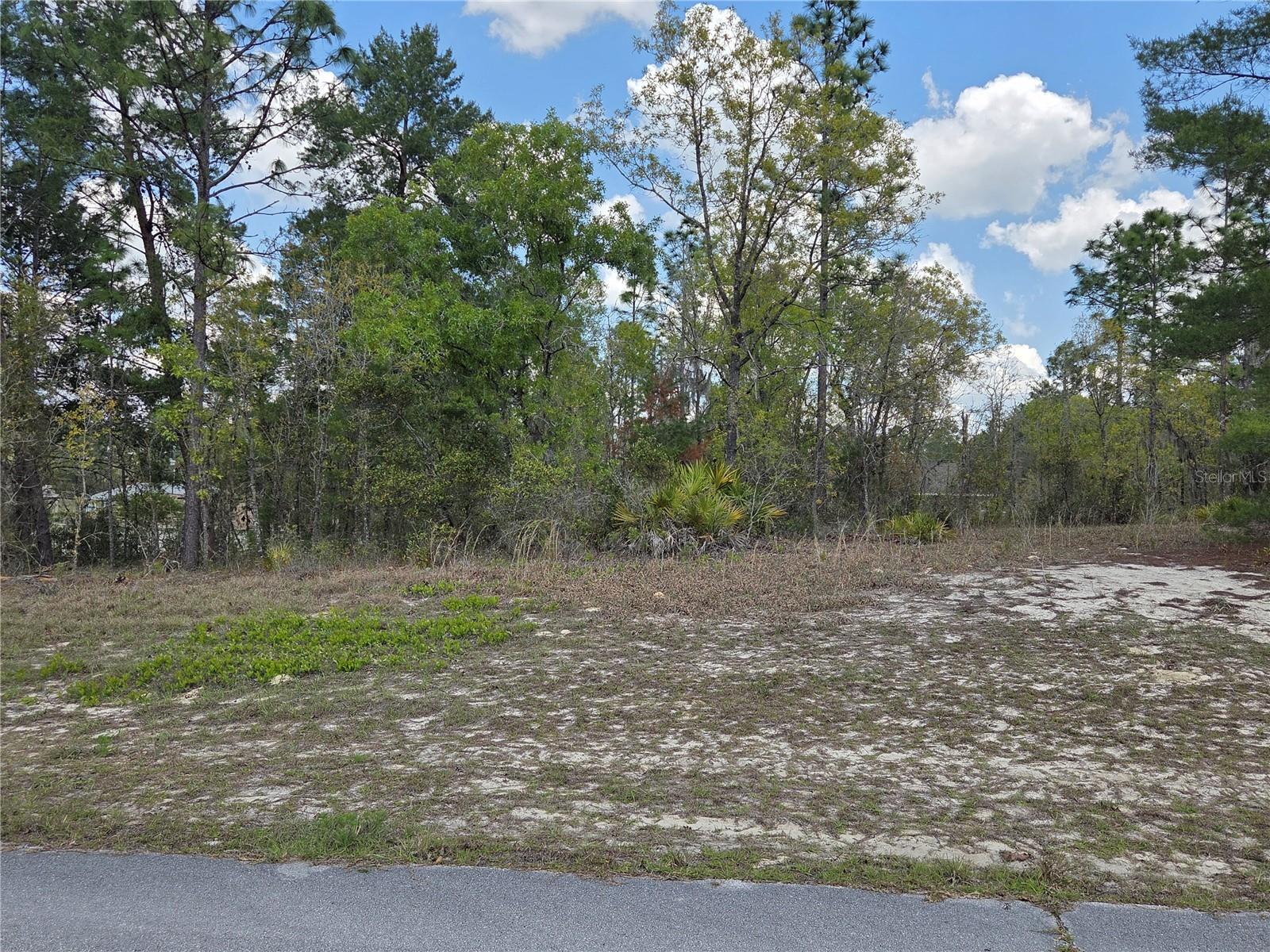 SW 139TH PLACE RD, OCALA, FL — photo 2