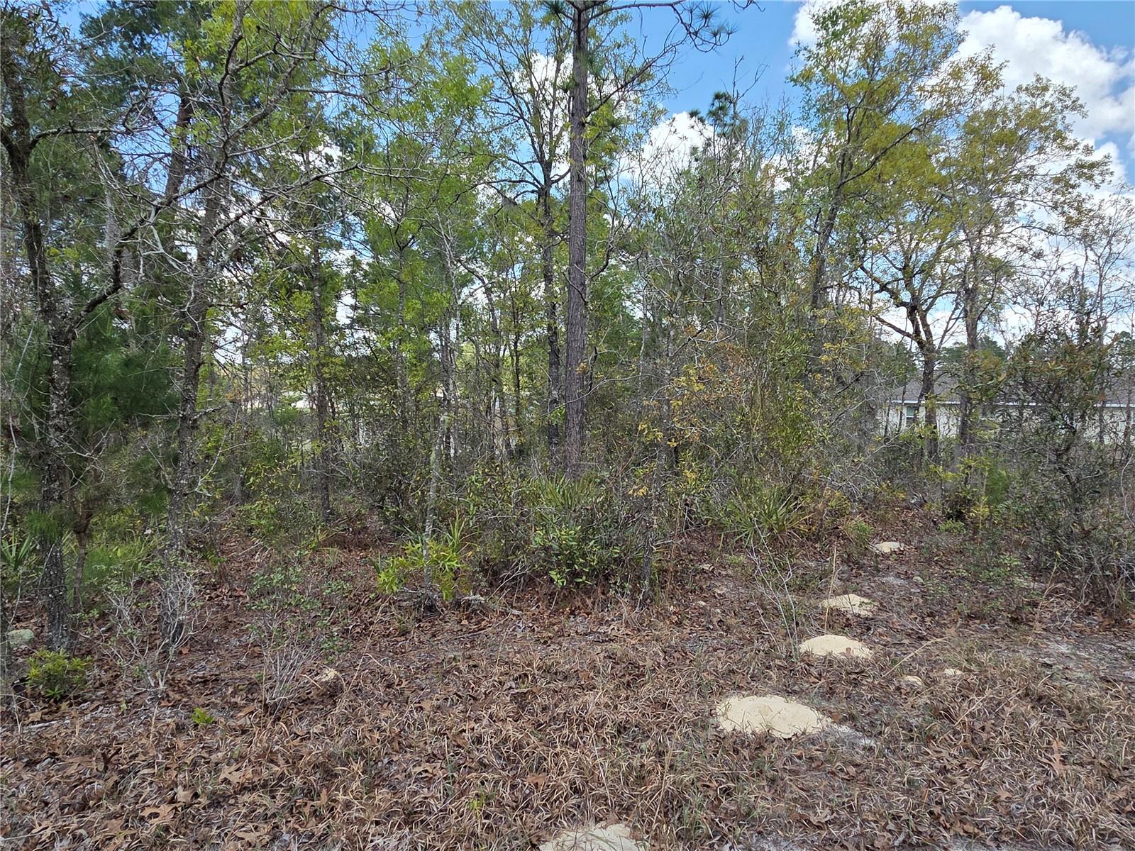 SW 139TH PLACE RD, OCALA, FL — photo 3