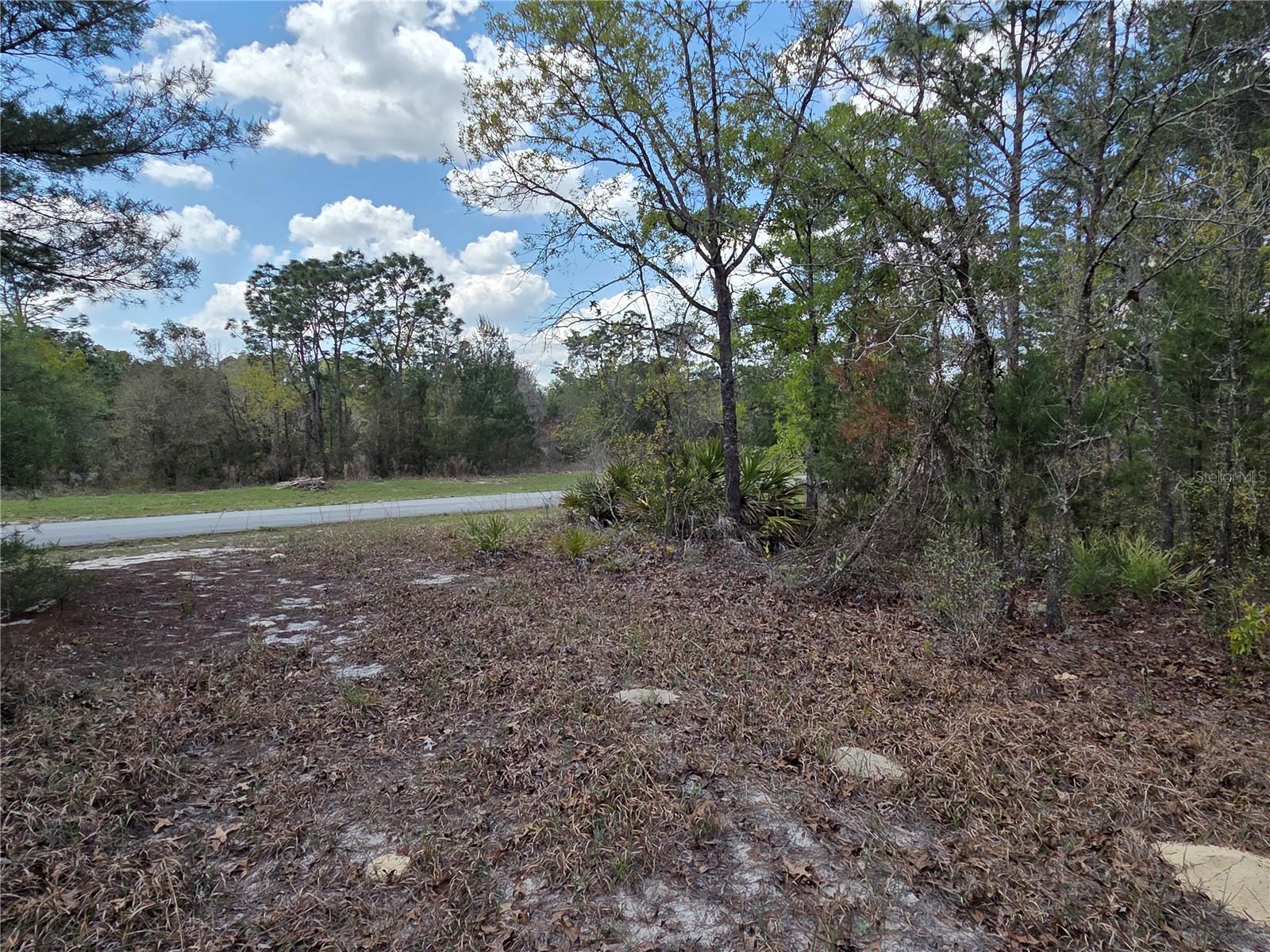 SW 139TH PLACE RD, OCALA, FL — photo 4