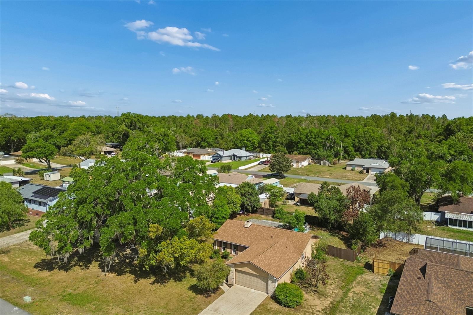 13635 BERKSHIRE CT, GRAND ISLAND, FL — photo 52