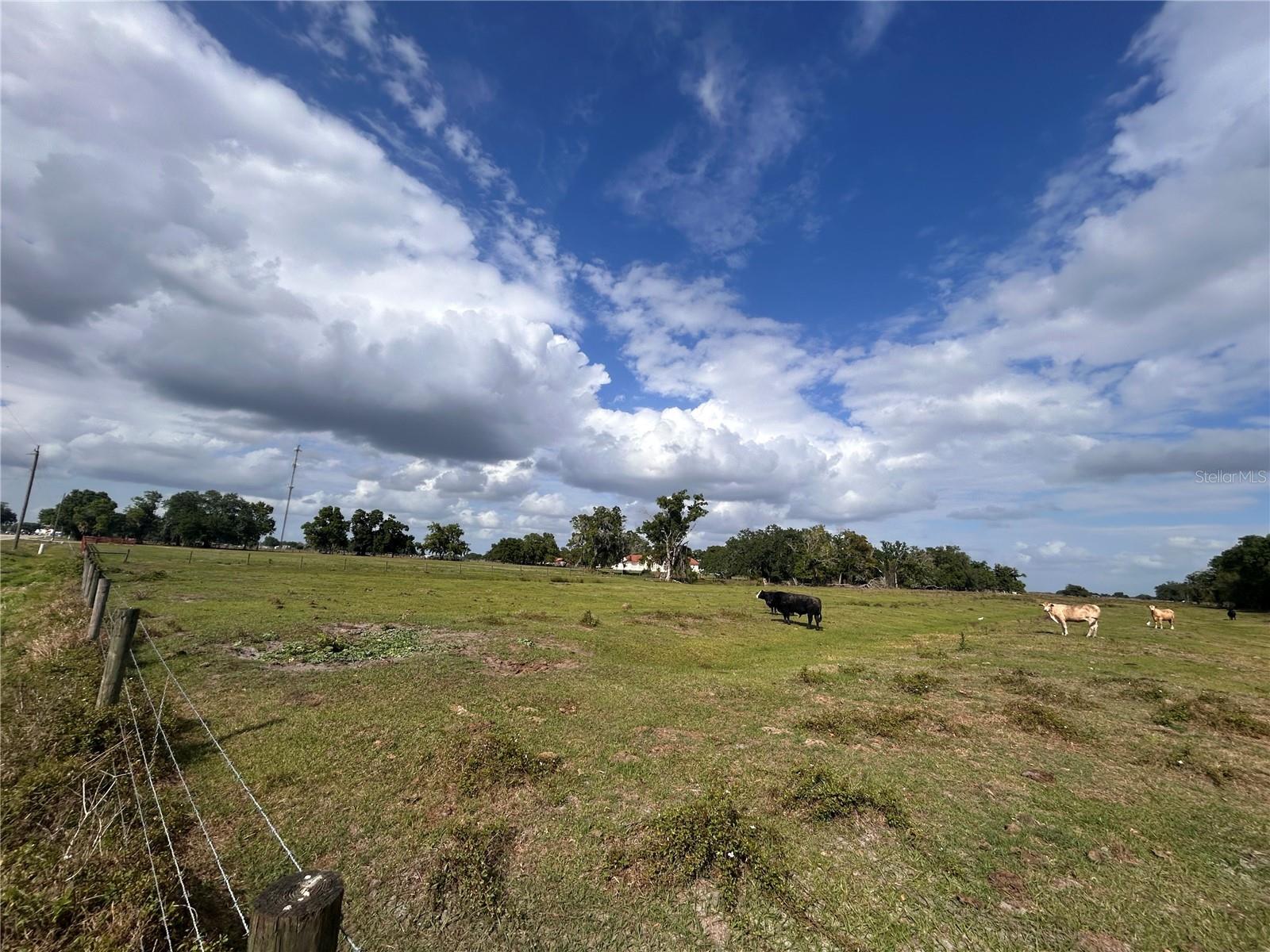 WASHINGTON ST, ARCADIA, FL — photo 2