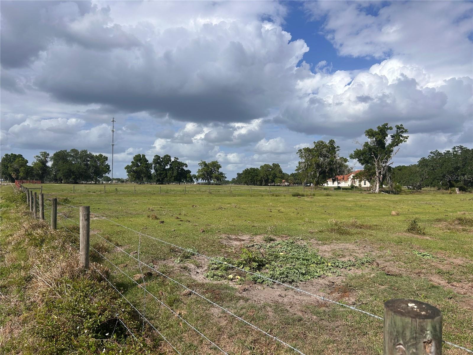WASHINGTON ST, ARCADIA, FL — photo 3