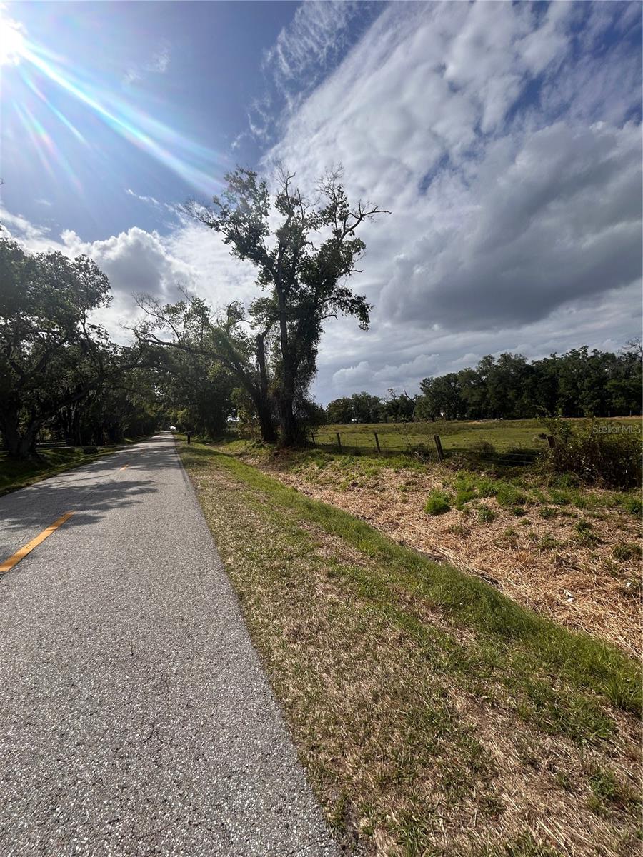 WASHINGTON ST, ARCADIA, FL — photo 4