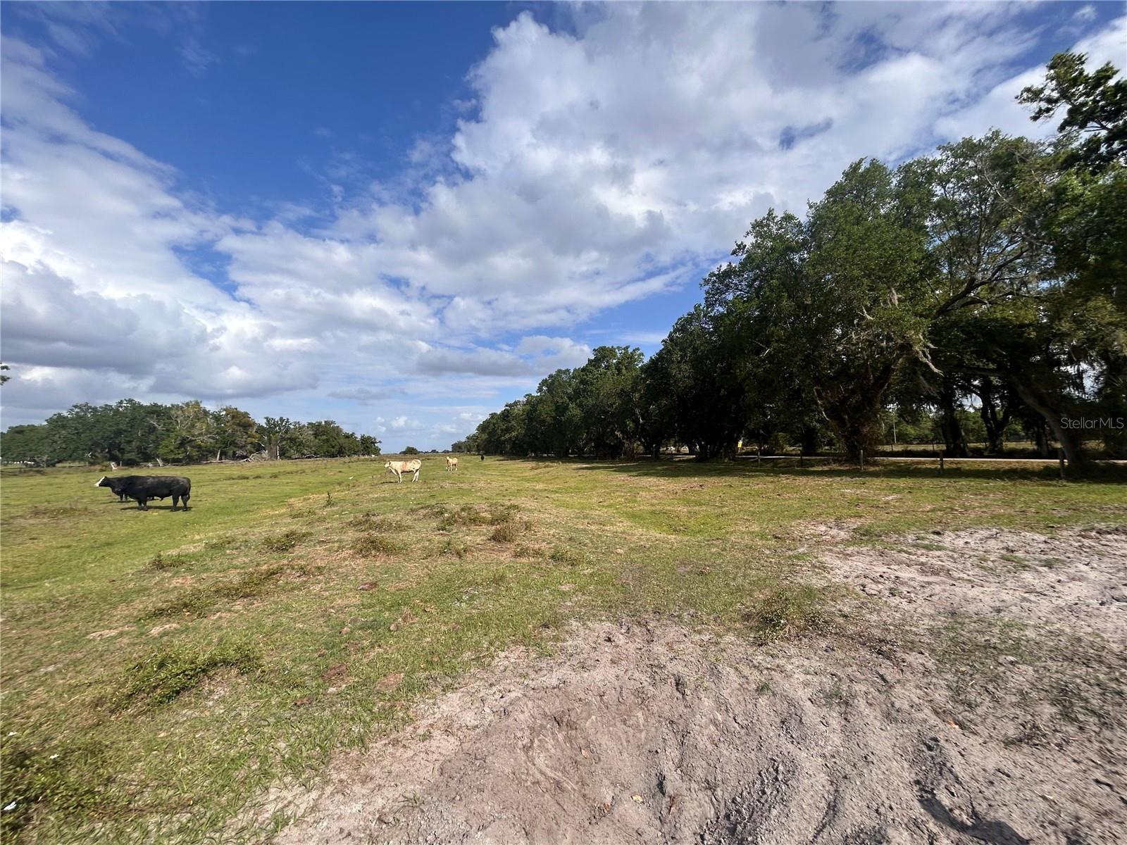 WASHINGTON ST, ARCADIA, FL — photo 7