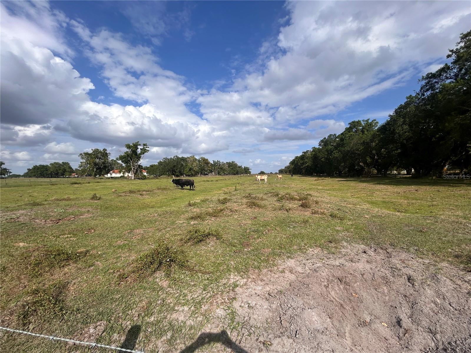 WASHINGTON ST, ARCADIA, FL — photo 8
