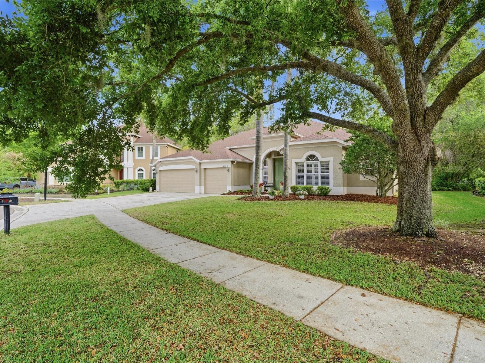 18931 CHAVILLE RD, LUTZ, FL — photo 3