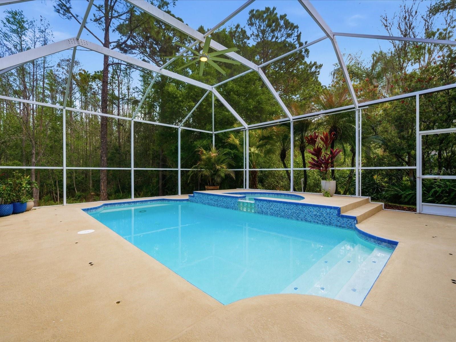 18931 CHAVILLE RD, LUTZ, FL — photo 59