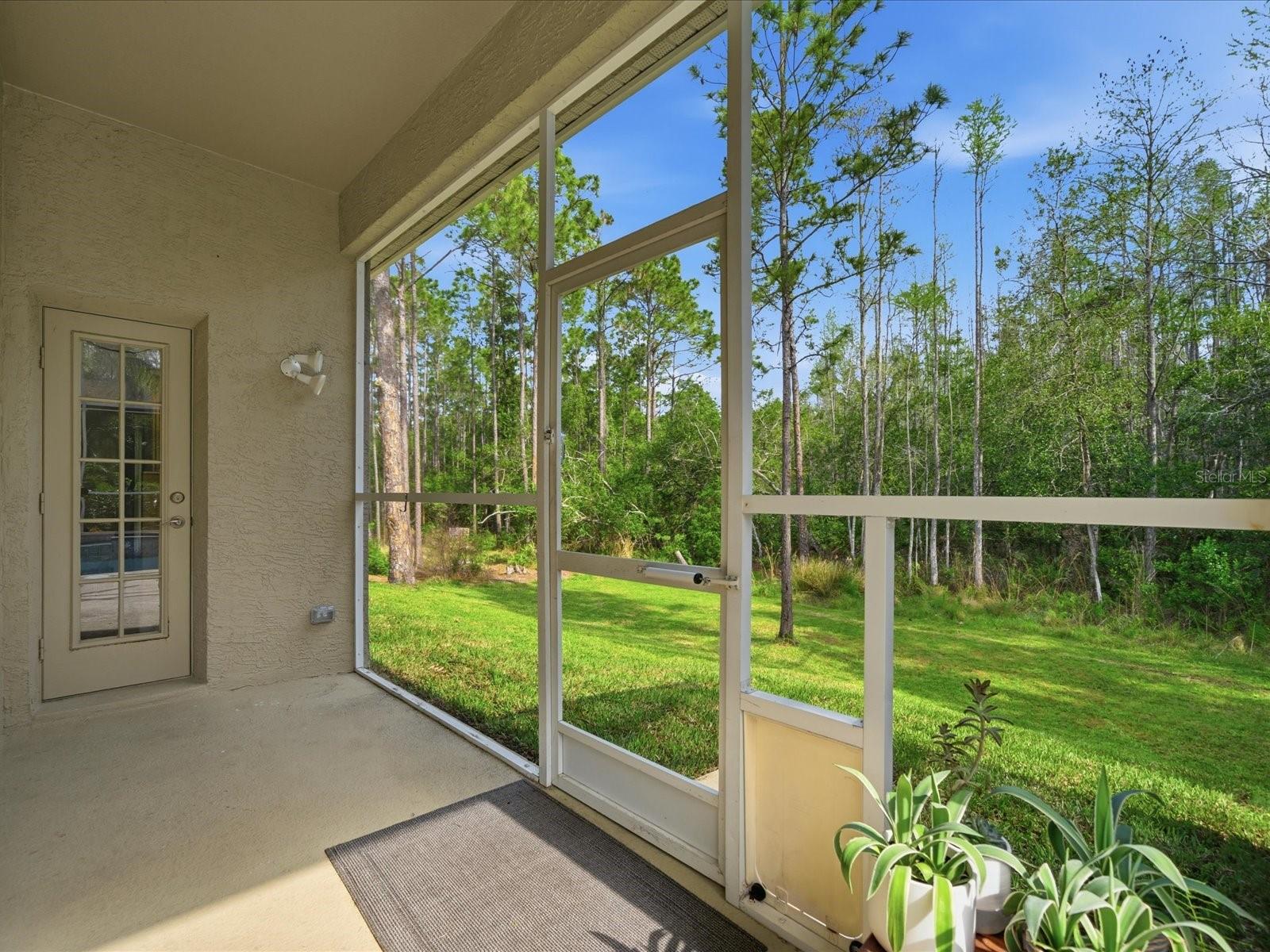 18931 CHAVILLE RD, LUTZ, FL — photo 61