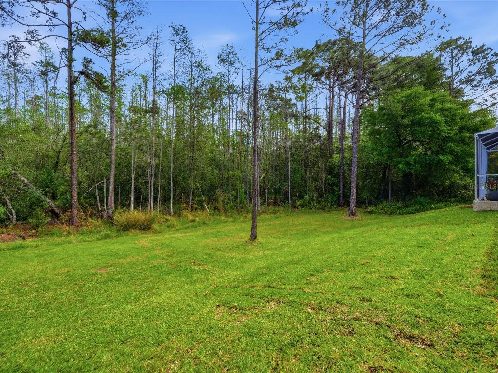 18931 CHAVILLE RD, LUTZ, FL — photo 64