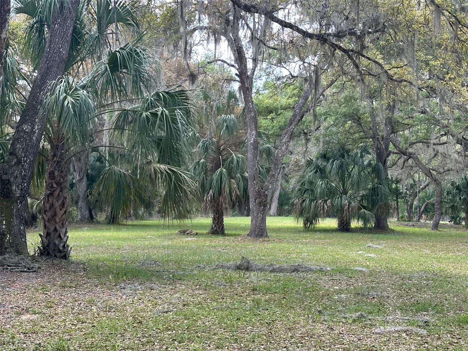 12501 SW HIGHWAY 200, DUNNELLON, FL — photo 11