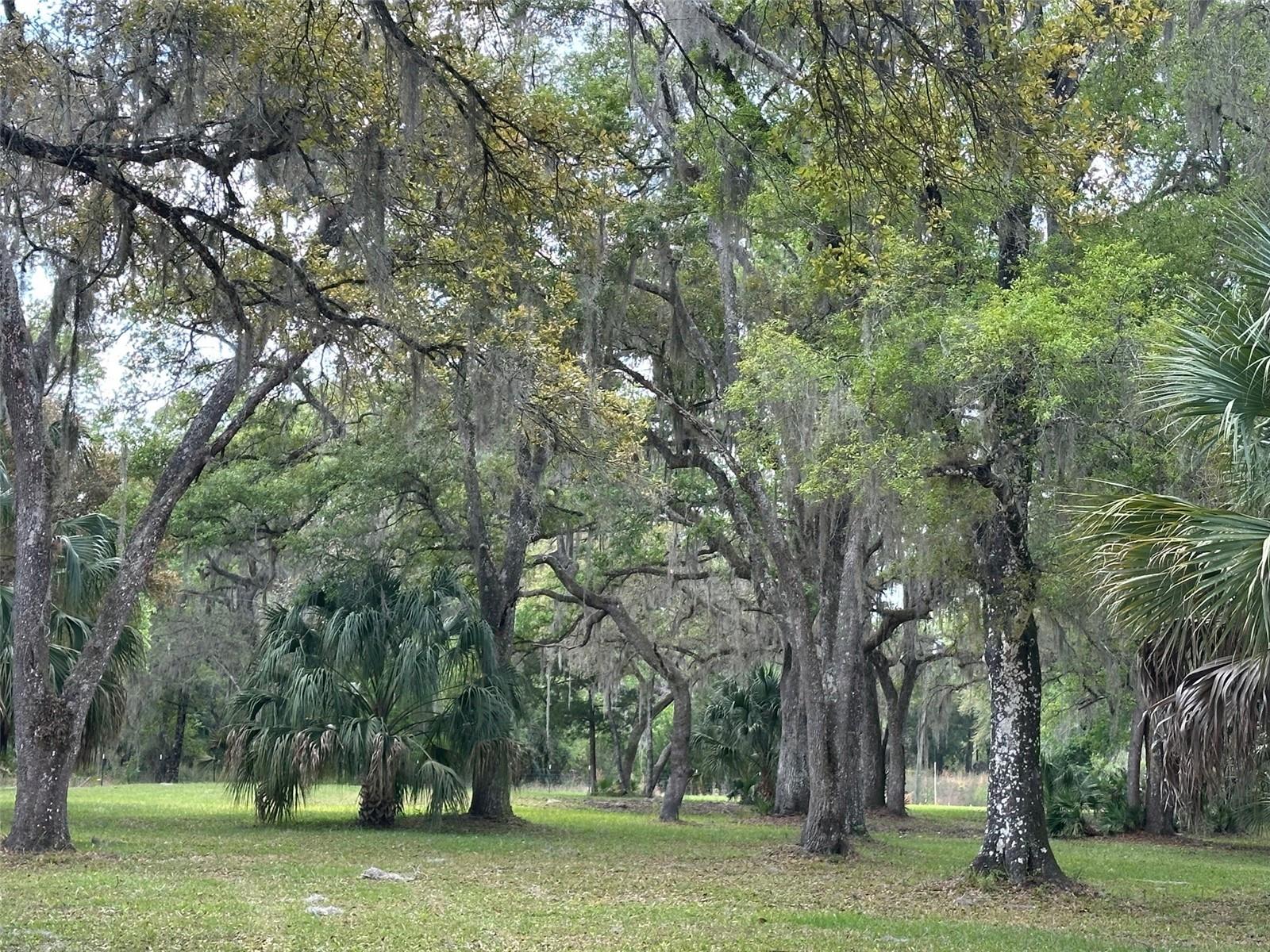 12501 SW HIGHWAY 200, DUNNELLON, FL — photo 12