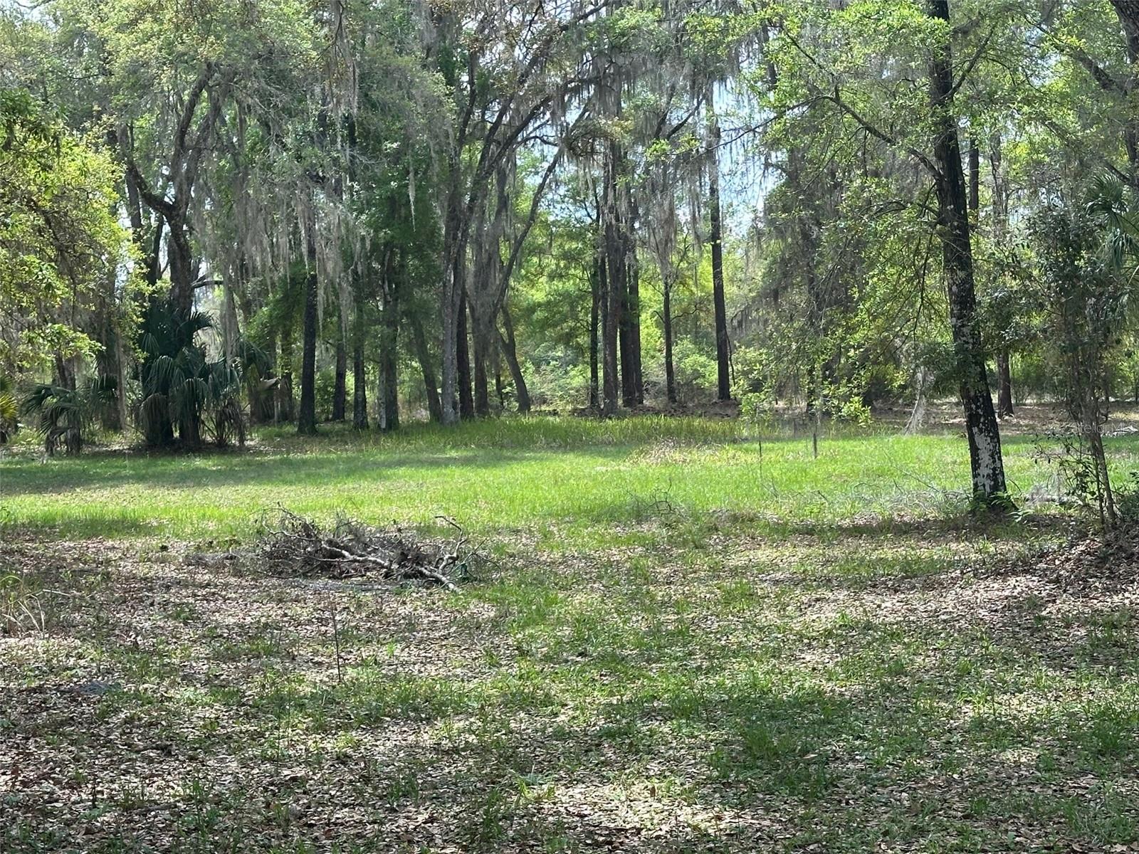 12501 SW HIGHWAY 200, DUNNELLON, FL — photo 16