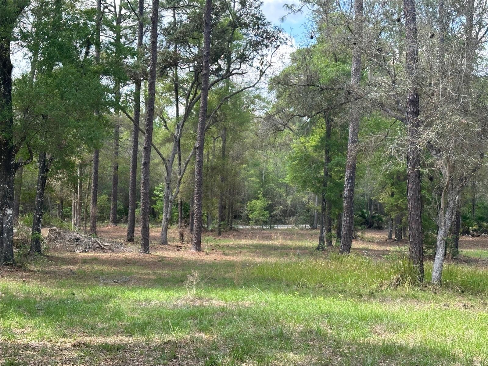 12501 SW HIGHWAY 200, DUNNELLON, FL — photo 17