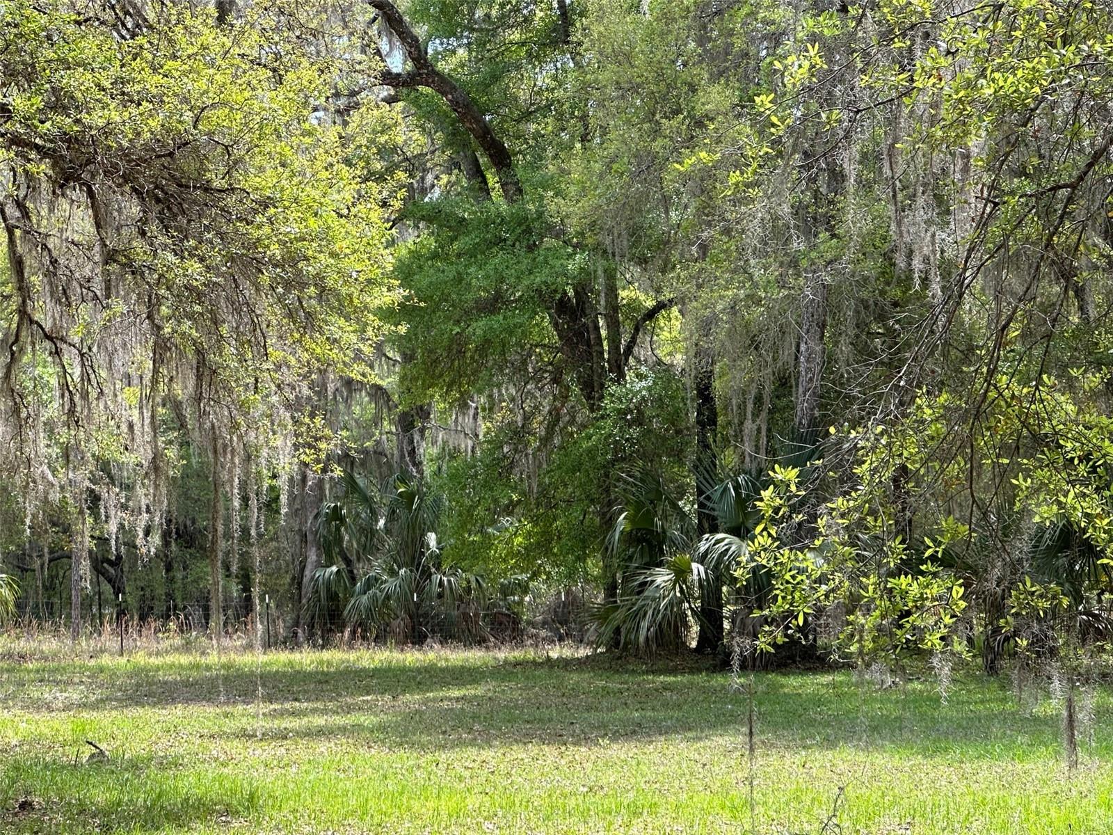 12501 SW HIGHWAY 200, DUNNELLON, FL — photo 18