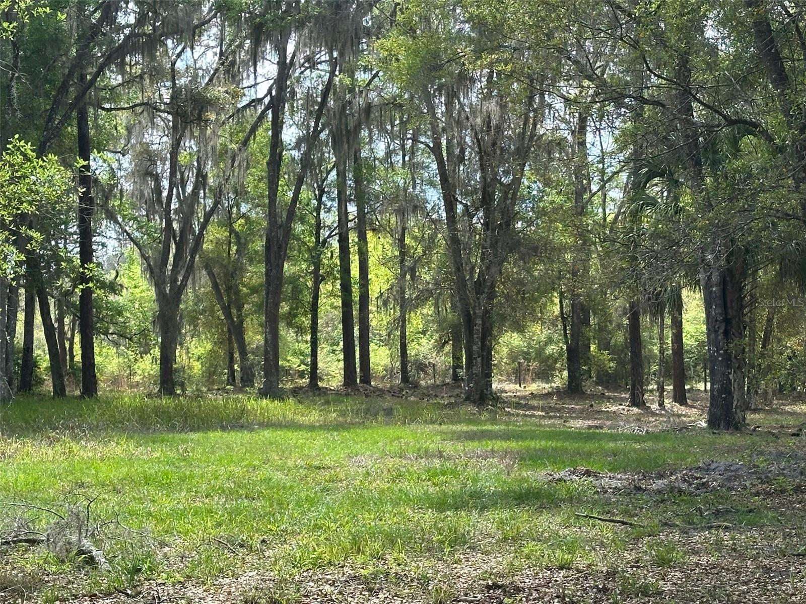 12501 SW HIGHWAY 200, DUNNELLON, FL — photo 19