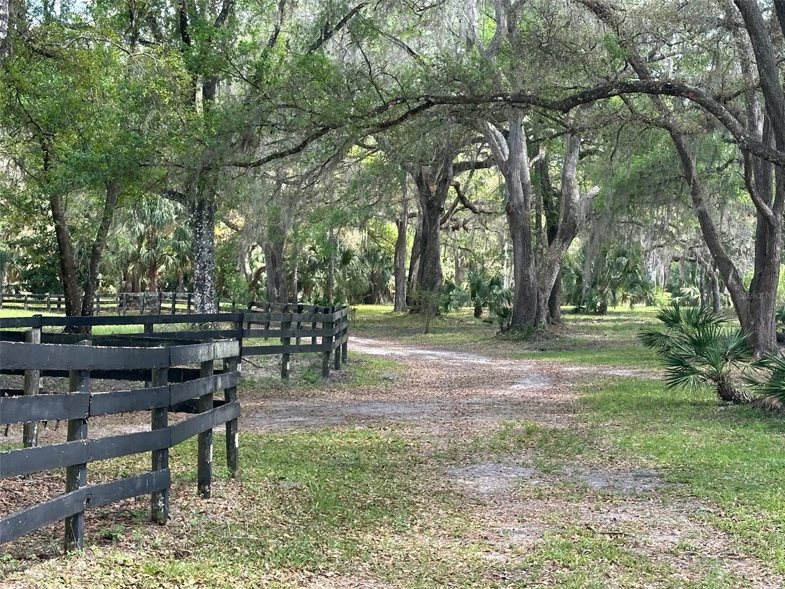 12501 SW HIGHWAY 200, DUNNELLON, FL — photo 24
