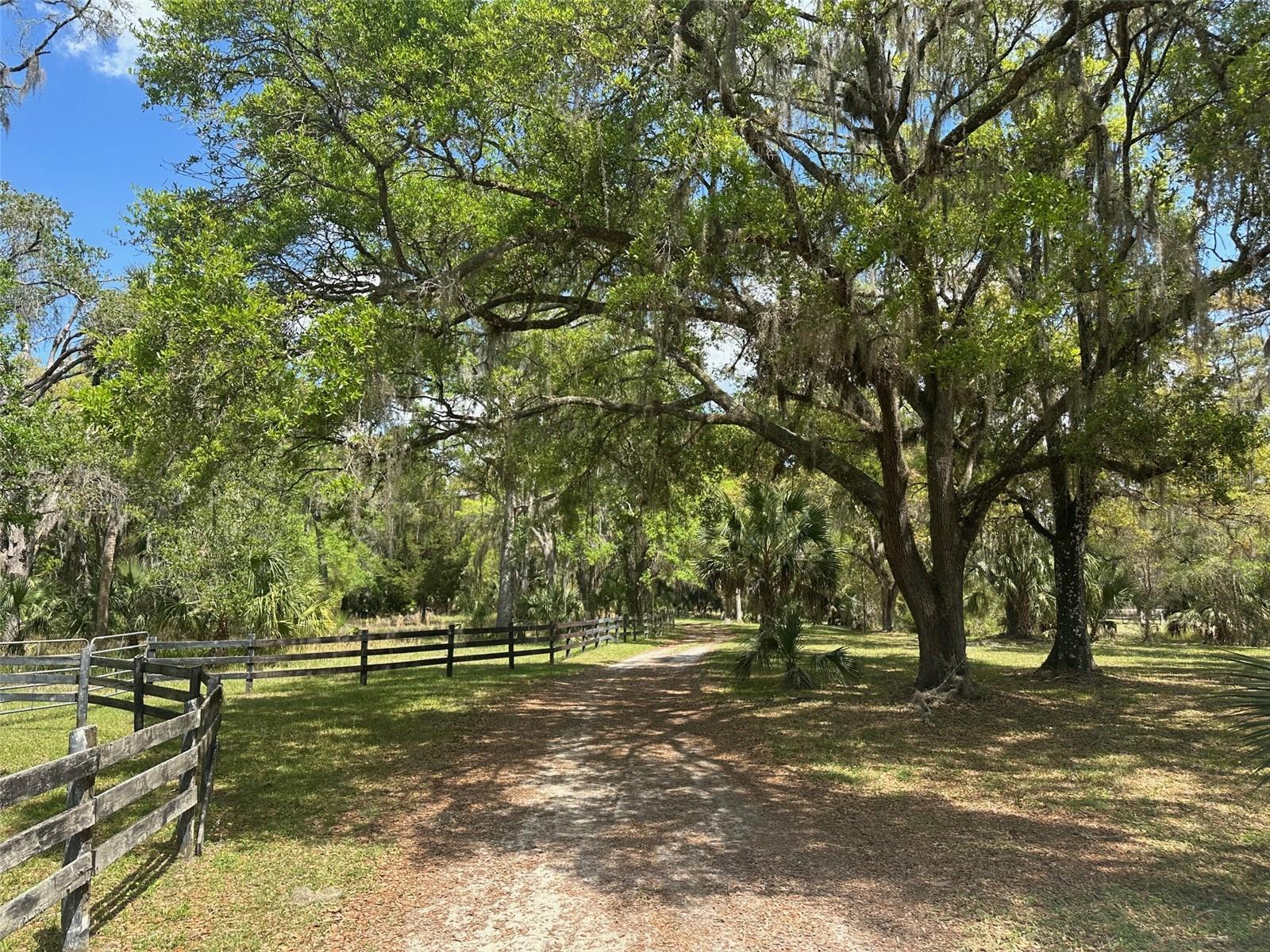 12501 SW HIGHWAY 200, DUNNELLON, FL — photo 25