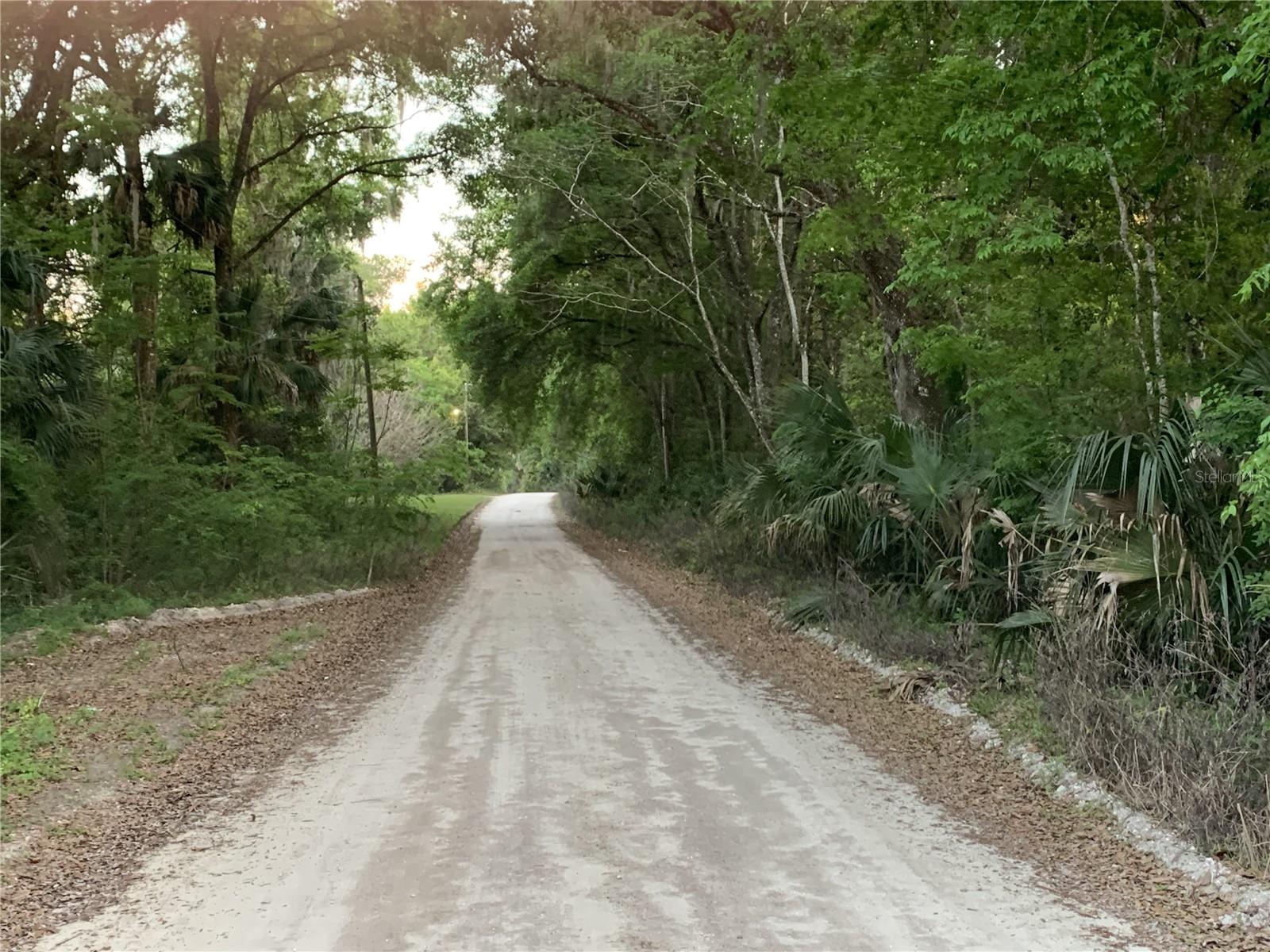 18111 N US HWY 301, CITRA, FL — photo 7