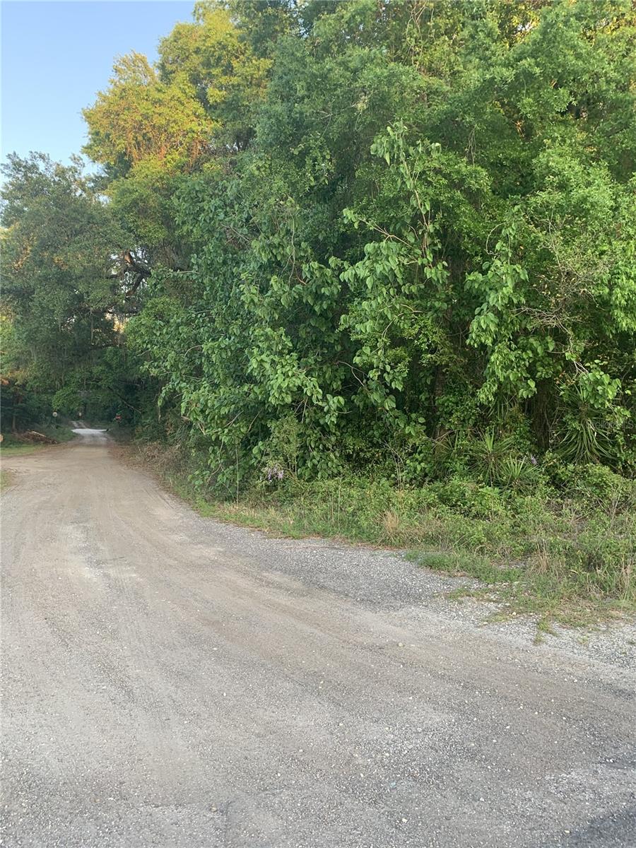 18111 N US HWY 301, CITRA, FL — photo 8