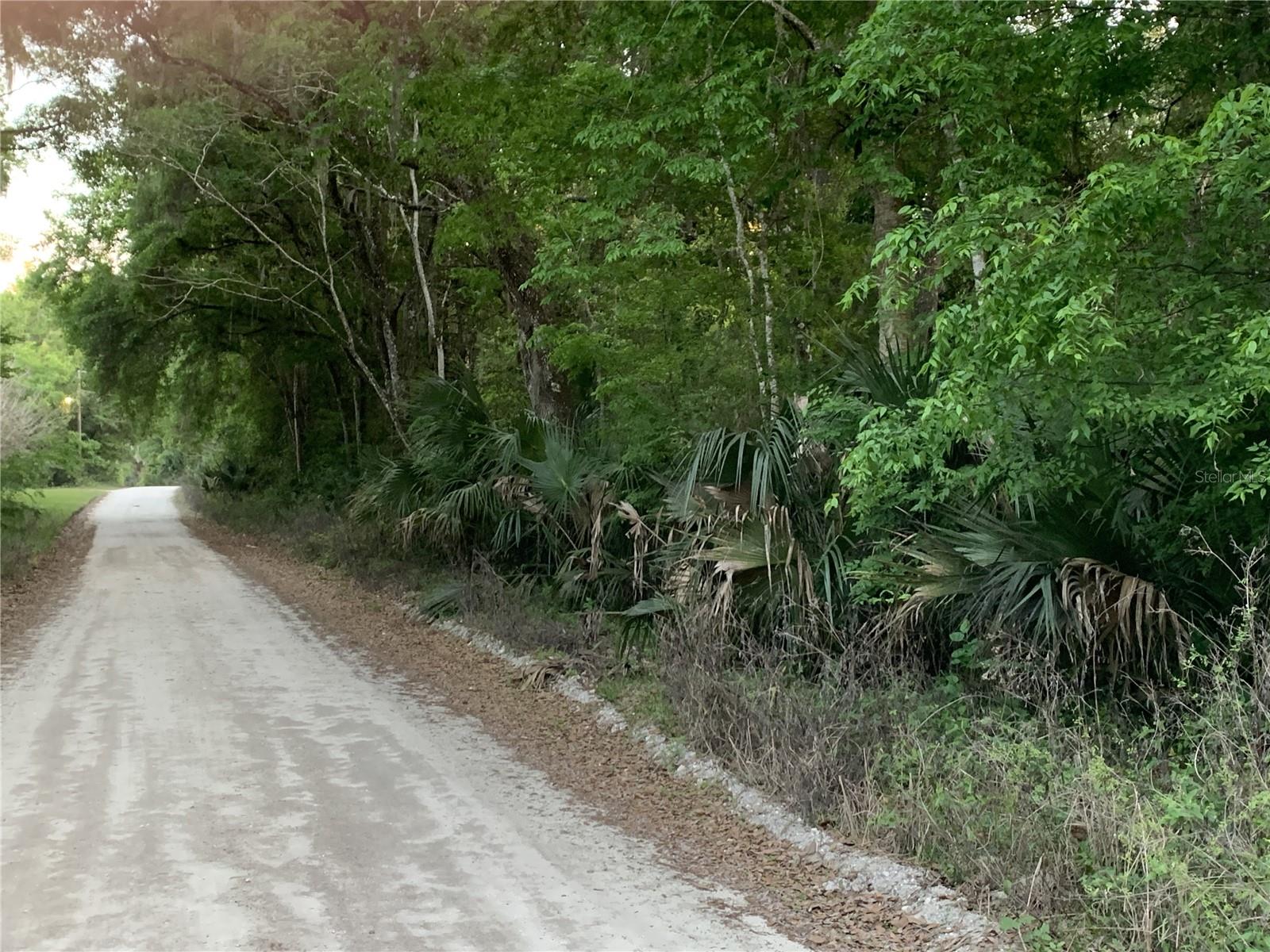 18111 N US HWY 301, CITRA, FL — photo 9