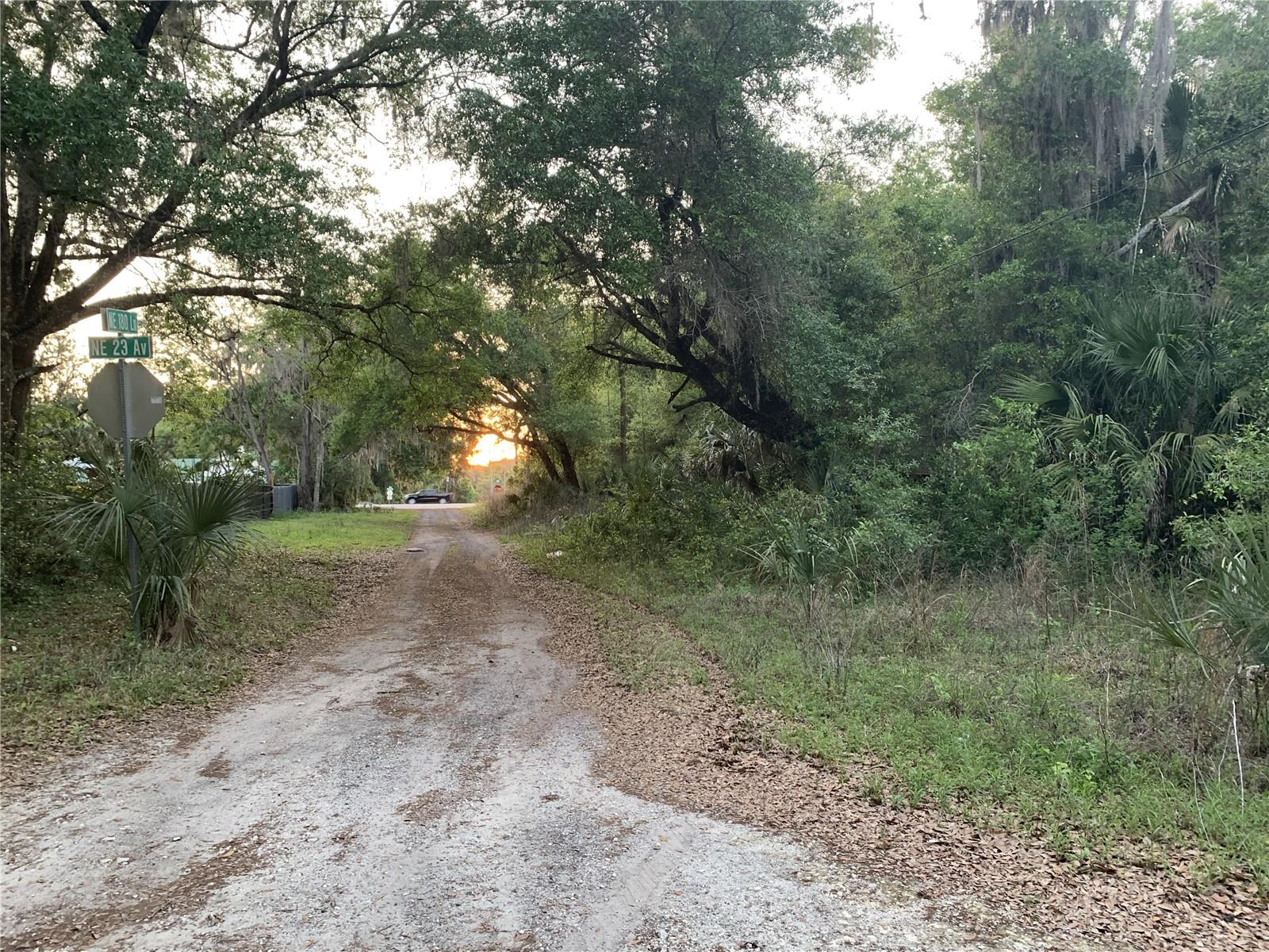18111 N US HWY 301, CITRA, FL — photo 10