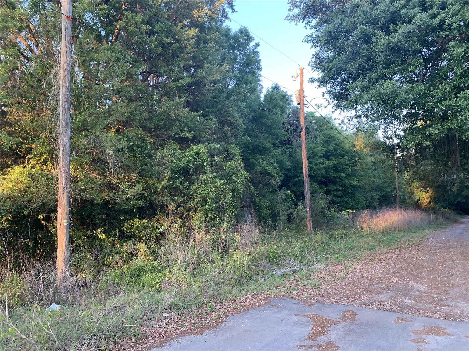 18111 N US HWY 301, CITRA, FL — photo 11