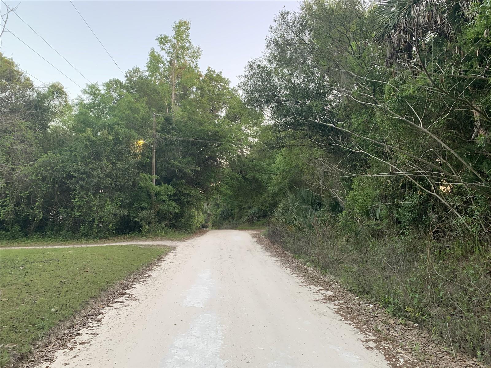18111 N US HWY 301, CITRA, FL — photo 12