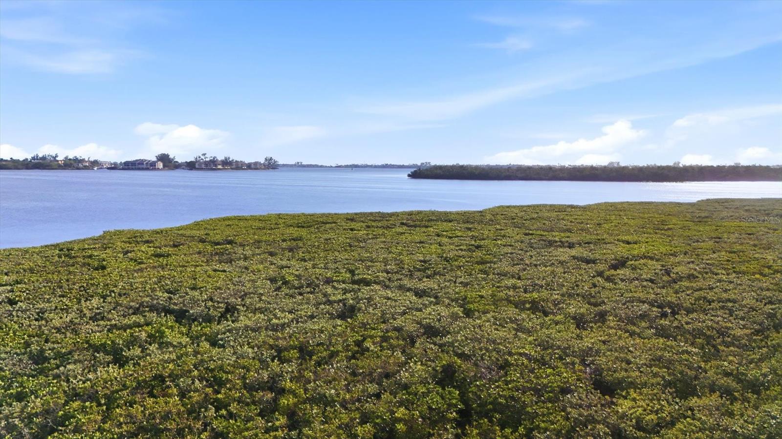 1323 PERICO POINT CIR #107, BRADENTON, FL — photo 52