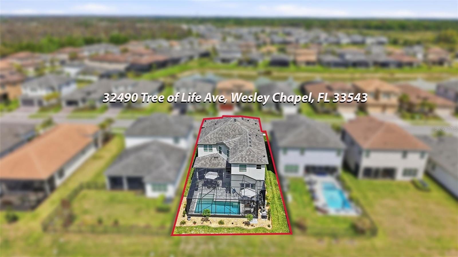 32490 TREE OF LIFE AVE, WESLEY CHAPEL, FL — photo 76
