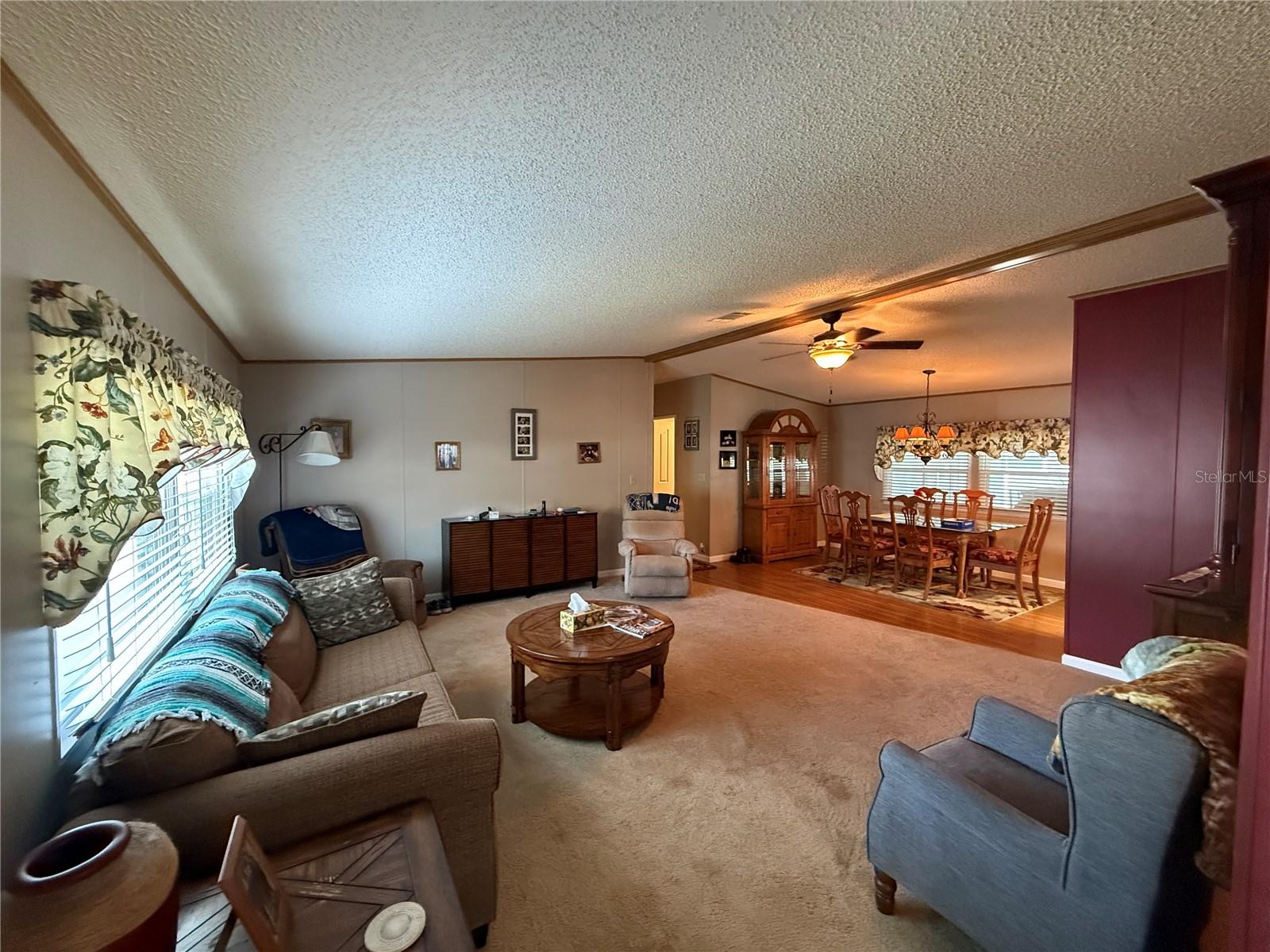 807 OAK BLVD, WILDWOOD, FL — photo 10