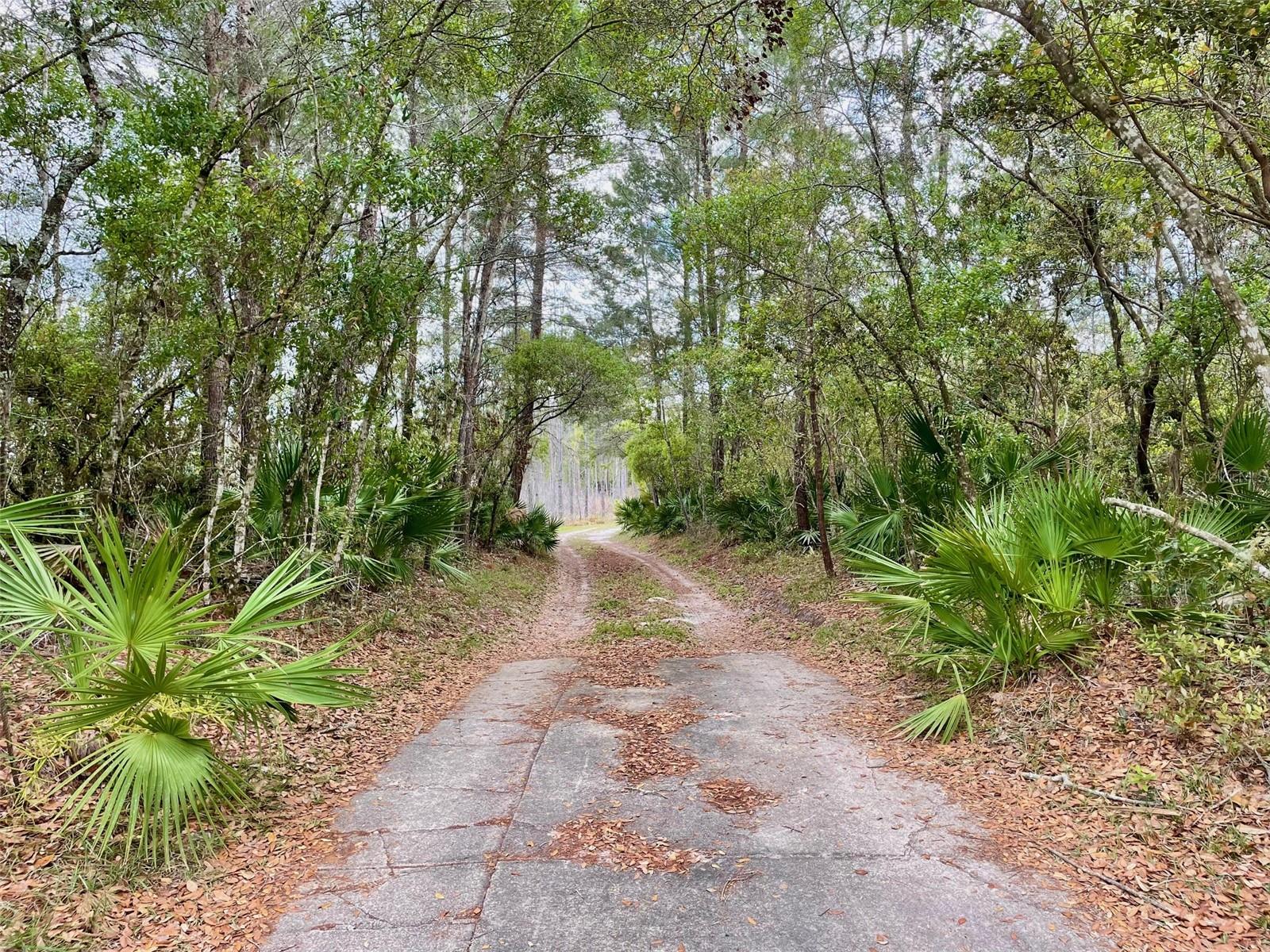 349 SEMINOLE WOODS BLVD, GENEVA, FL — photo 3