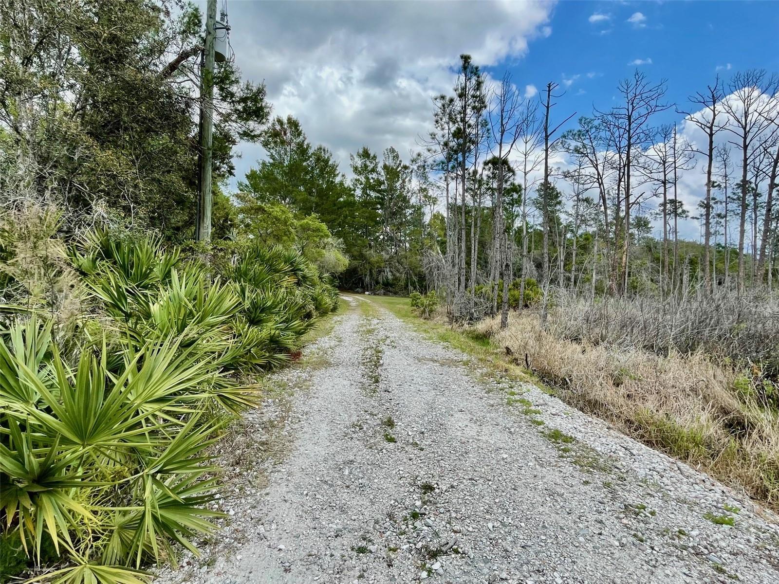 349 SEMINOLE WOODS BLVD, GENEVA, FL — photo 39