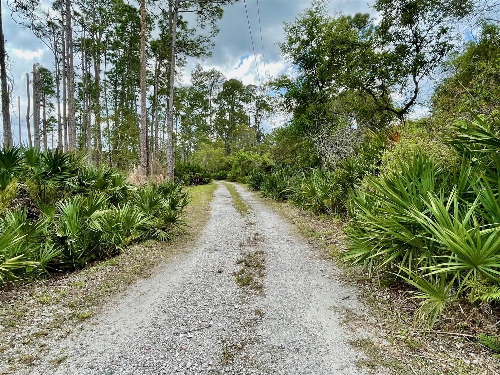 349 SEMINOLE WOODS BLVD, GENEVA, FL — photo 40