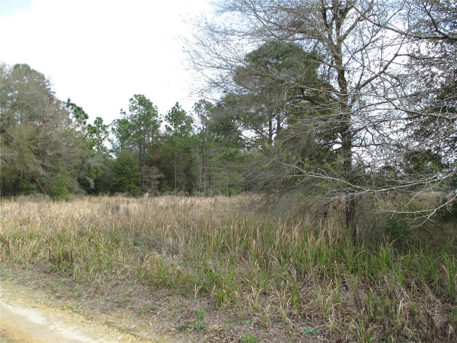 0 SW 24TH PL, OCALA, FL — photo 3