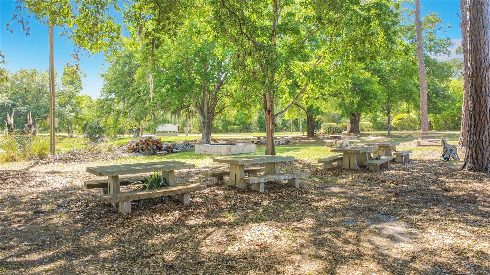 2523 KAREN DR, MOUNT DORA, FL — photo 74