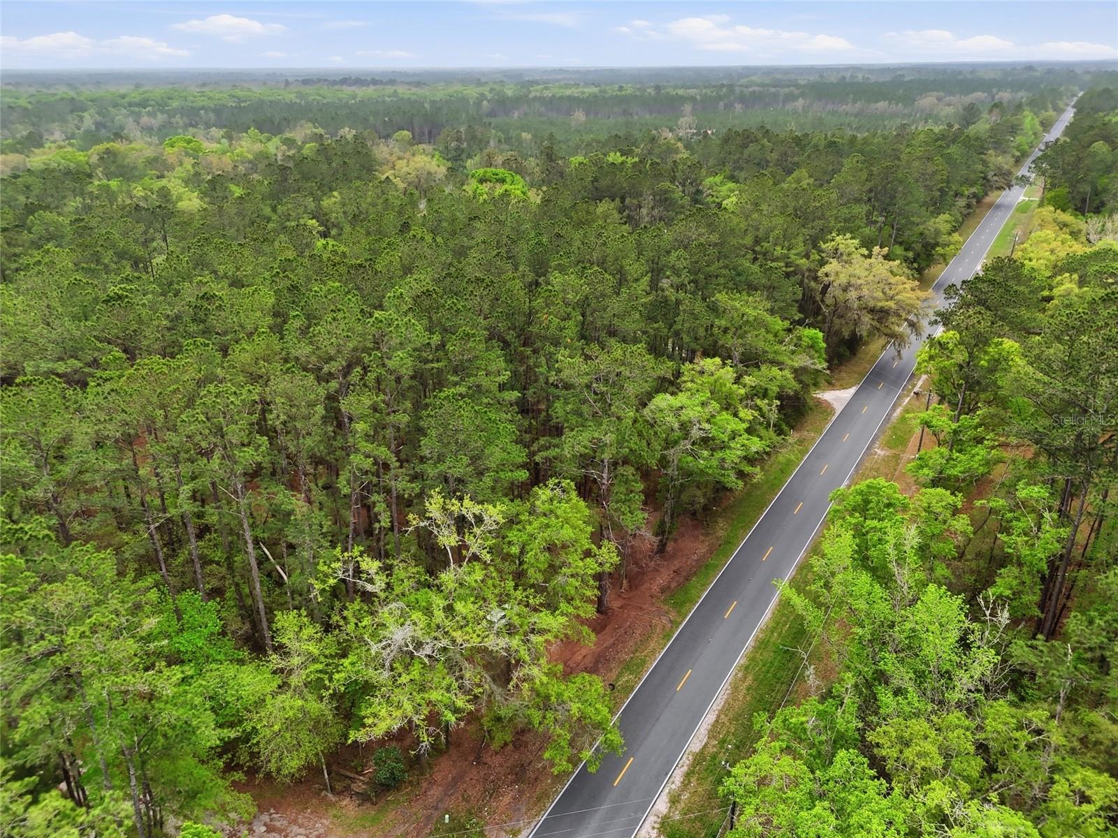 NW COUNTY ROAD 231, GAINESVILLE, FL — photo 7