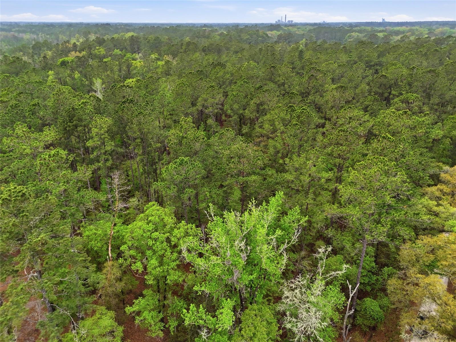 NW COUNTY ROAD 231, GAINESVILLE, FL — photo 8