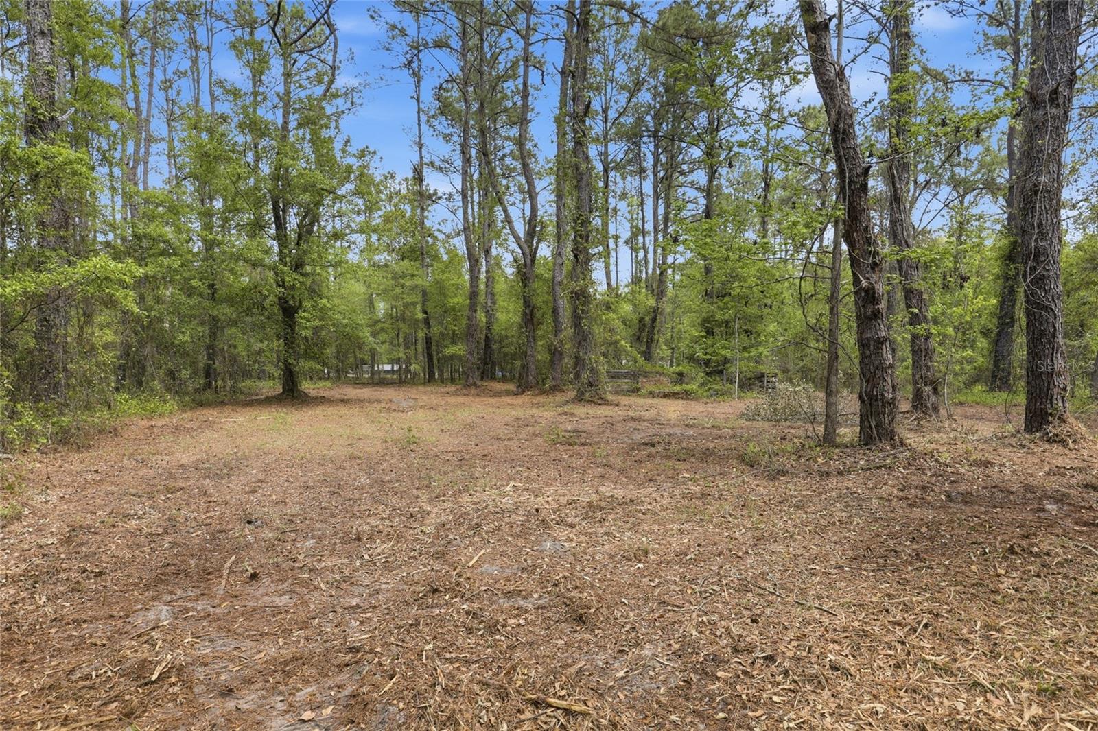 NW COUNTY ROAD 231, GAINESVILLE, FL — photo 17