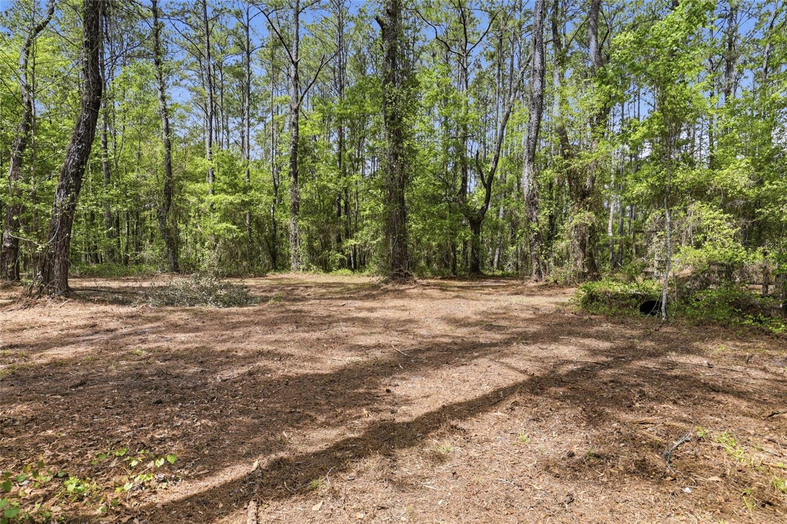 NW COUNTY ROAD 231, GAINESVILLE, FL — photo 19