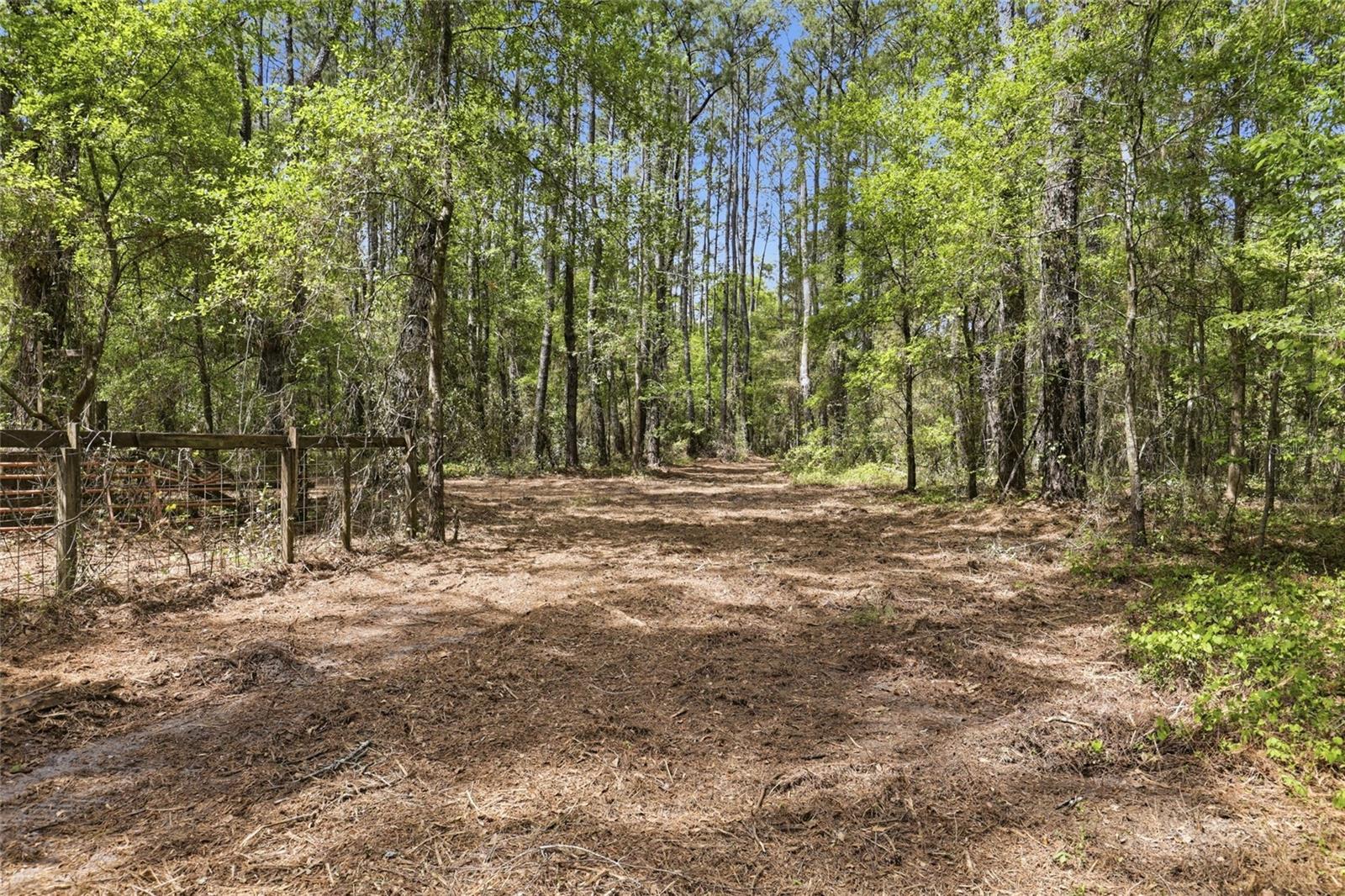 NW COUNTY ROAD 231, GAINESVILLE, FL — photo 20