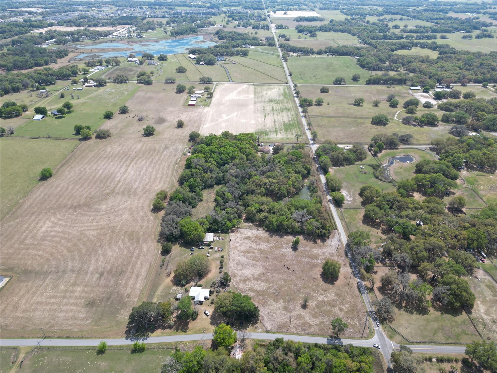 3095 COUNTY ROAD 202, OXFORD, FL — photo 4