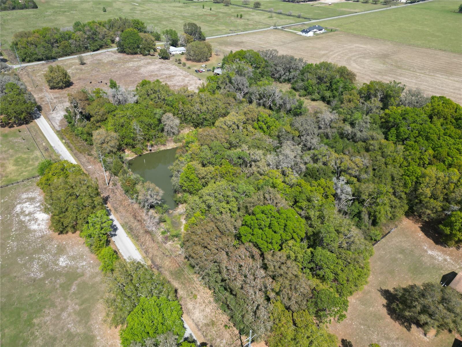 3095 COUNTY ROAD 202, OXFORD, FL — photo 5