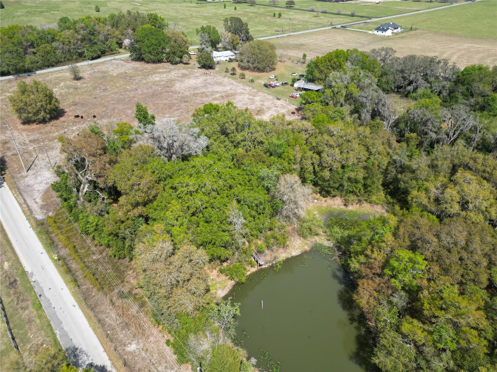 3095 COUNTY ROAD 202, OXFORD, FL — photo 7