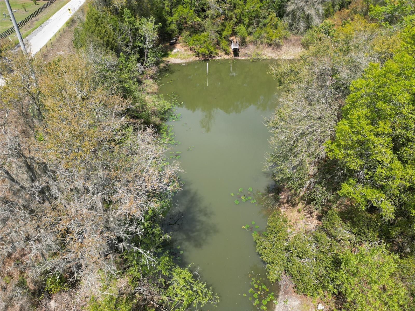 3095 COUNTY ROAD 202, OXFORD, FL — photo 10