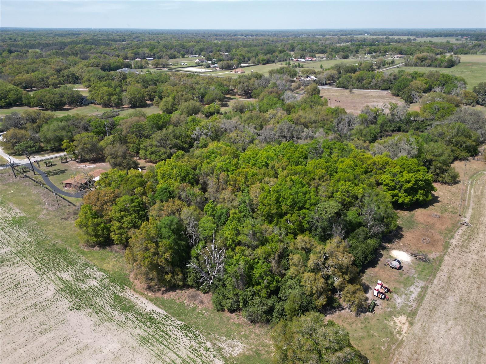 3095 COUNTY ROAD 202, OXFORD, FL — photo 11