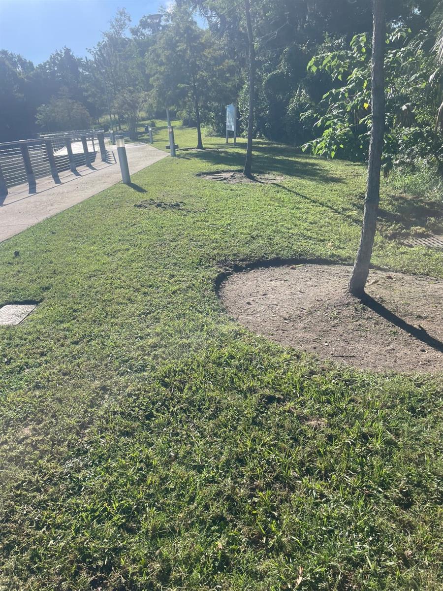 1000 W MONTROSE ST, CLERMONT, FL — photo 8