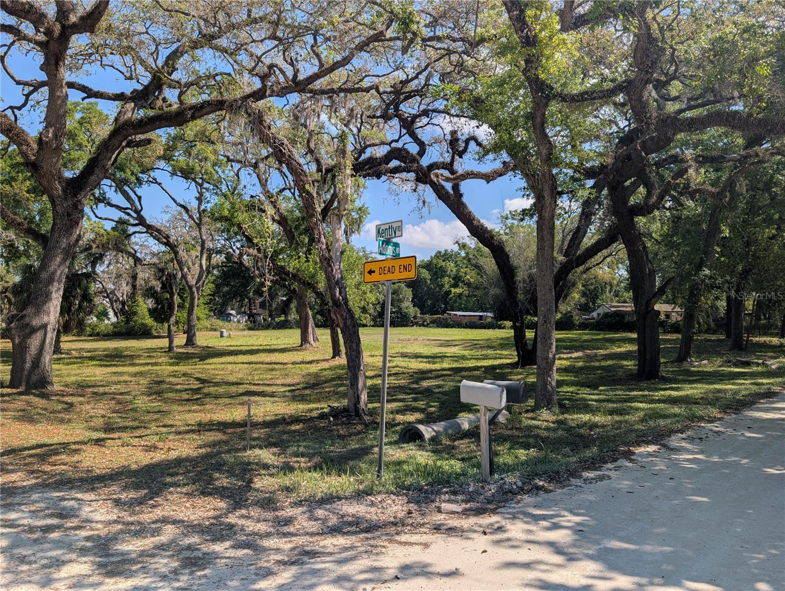 8519 ADONIS RD, NEW PORT RICHEY, FL