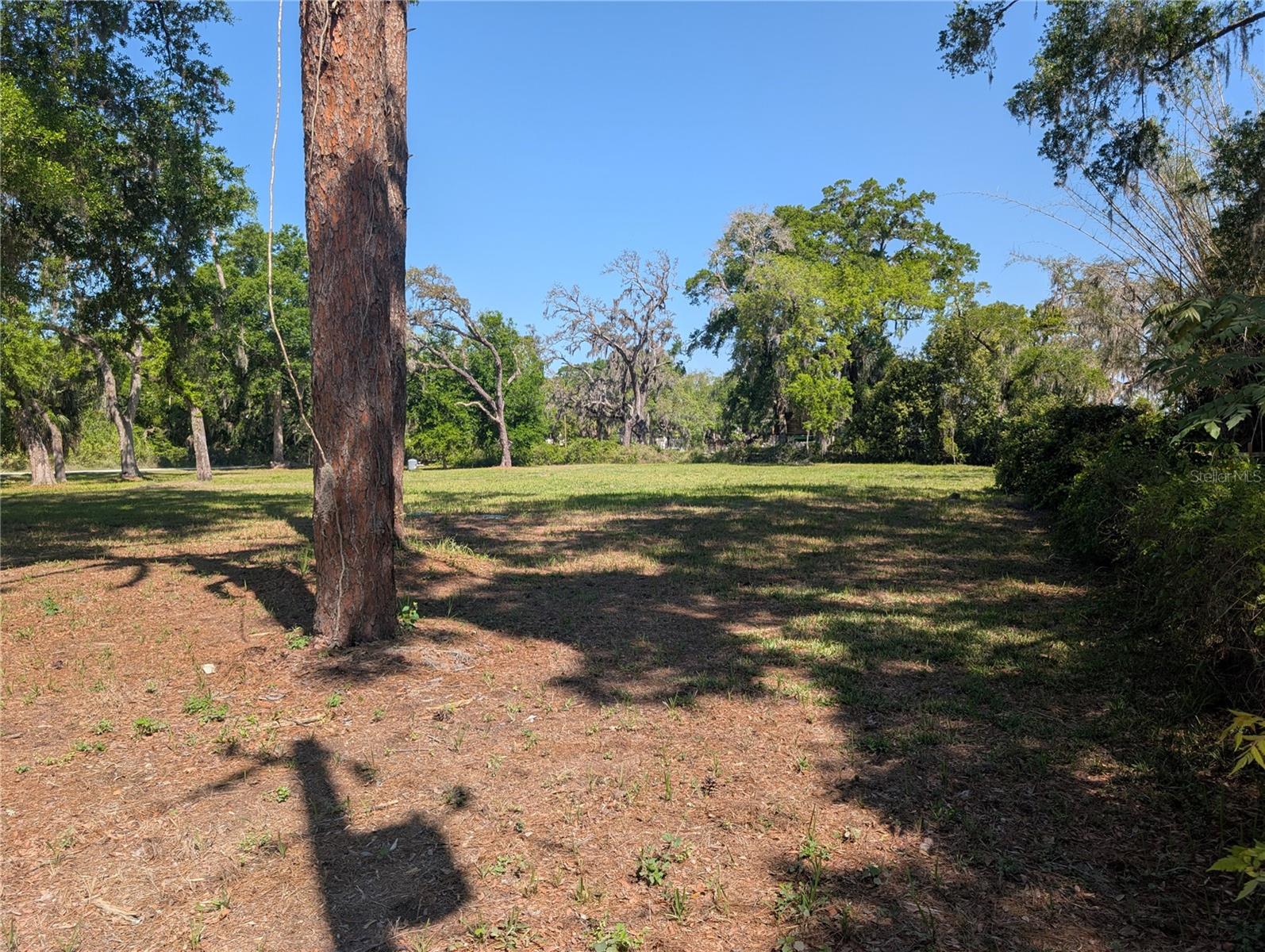 8519 ADONIS RD, NEW PORT RICHEY, FL — photo 2