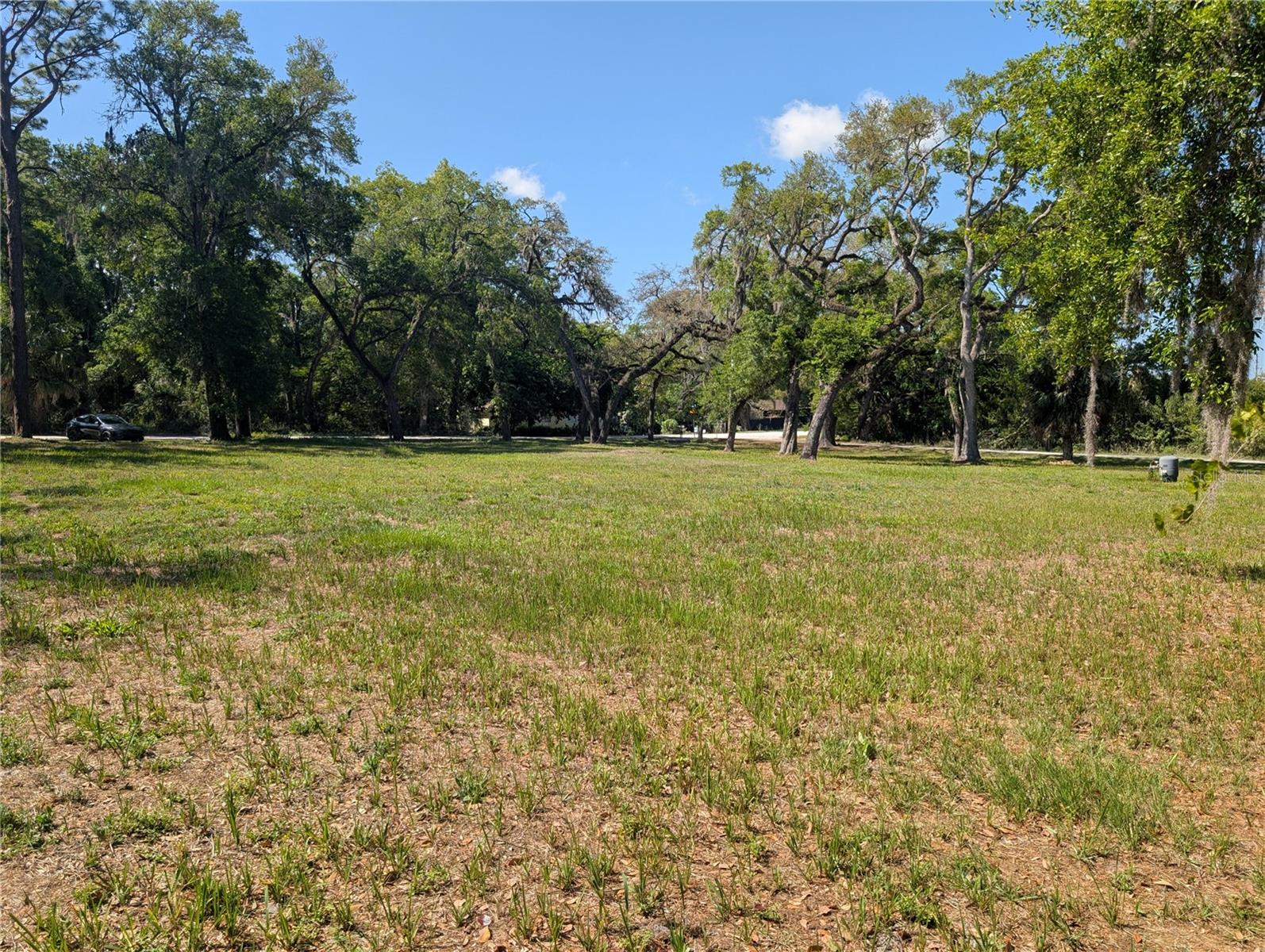 8519 ADONIS RD, NEW PORT RICHEY, FL — photo 3